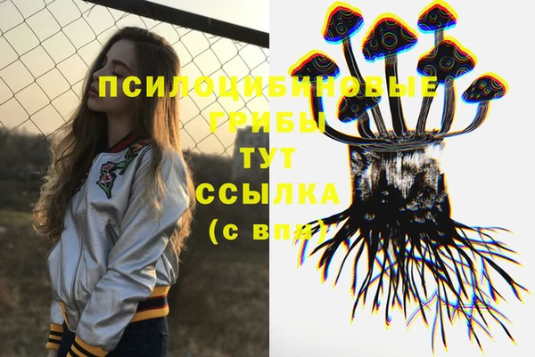 синтетический гашиш Новозыбков