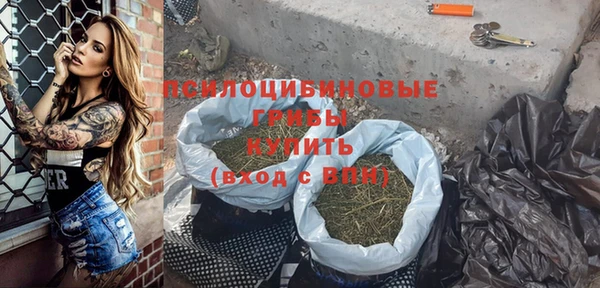 синтетический гашиш Новозыбков