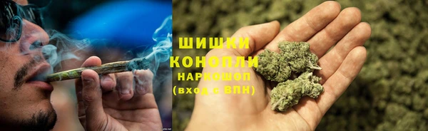 гидра Новодвинск