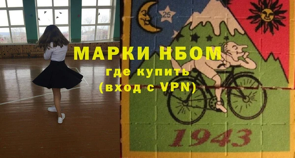 гидра Новодвинск