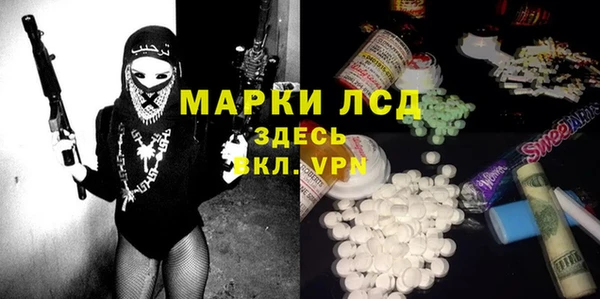 гидра Новодвинск