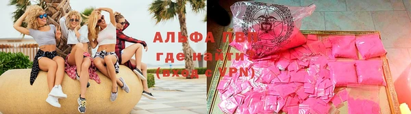 гидра Новодвинск