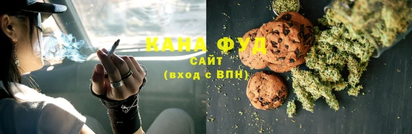 гидра Новодвинск
